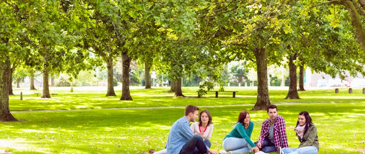 Studieren im Frühling: Eine Zeit des Neubeginns und der Inspiration