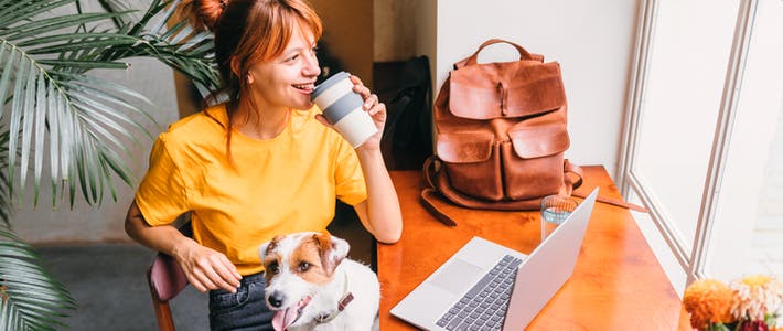 Studieren mit Hund